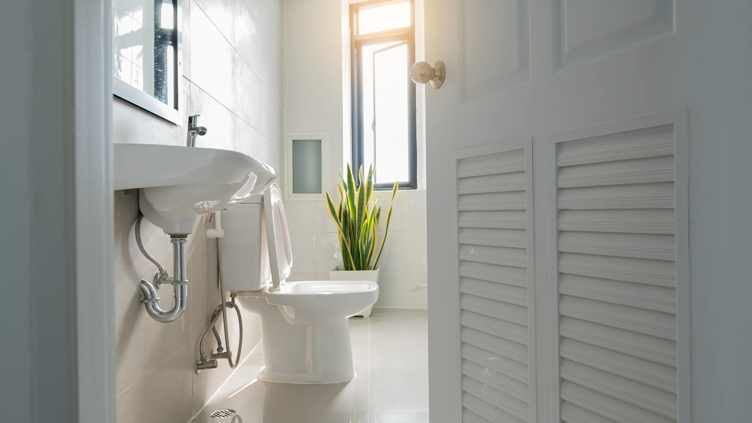 A clean, fresh bathroom
