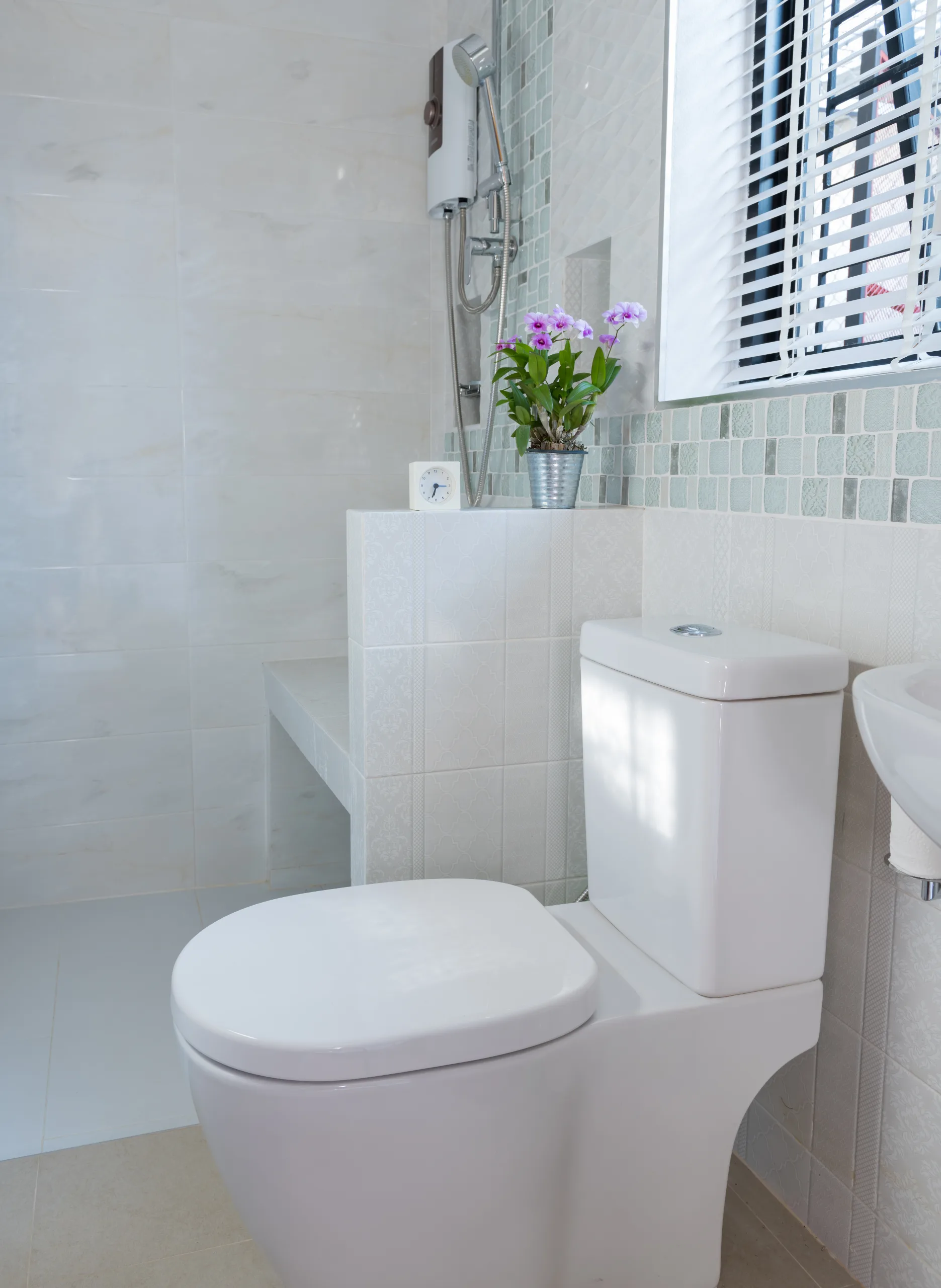 A fresh bathroom